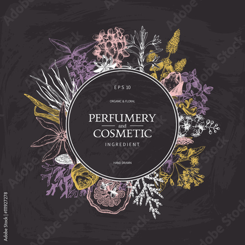 Vector design with hand drawn perfumery and cosmetics ingredients. Decorative background with vintage aromatic plants for perfumery on chalkboard