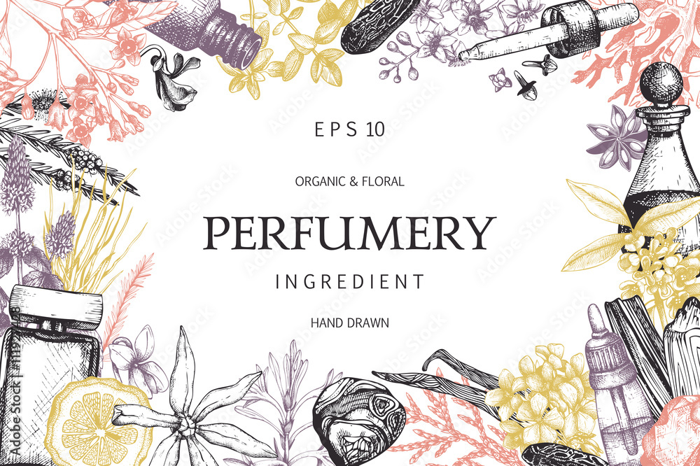Vector design with hand drawn perfumery and cosmetics ingredients. Decorative background with vintage aromatic plants for perfumery - obrazy, fototapety, plakaty 