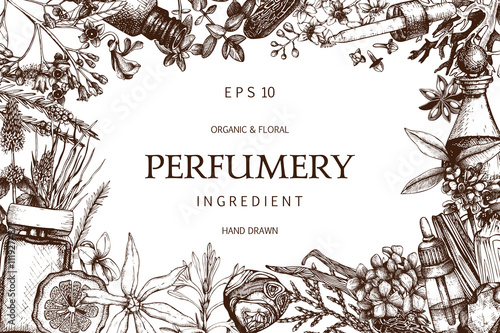 Vector design with hand drawn perfumery and cosmetics ingredients. Decorative background with vintage aromatic plants for perfumery