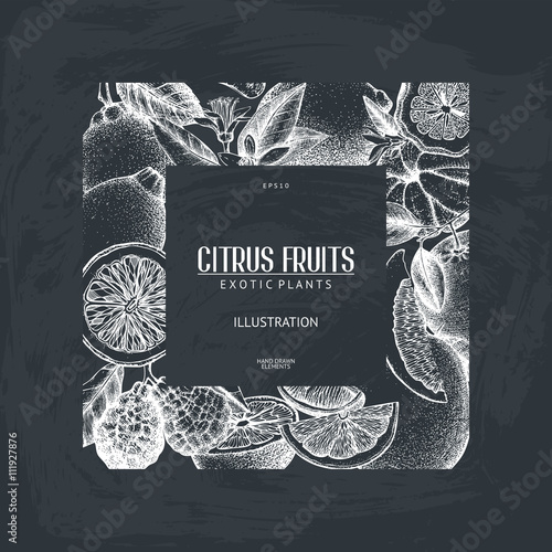 Vector design with ink hand drawn orange fruit, flowers and leaves sketch. Vintage citrus on chalkboard