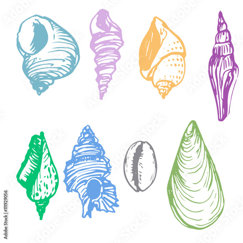 vector set of shells