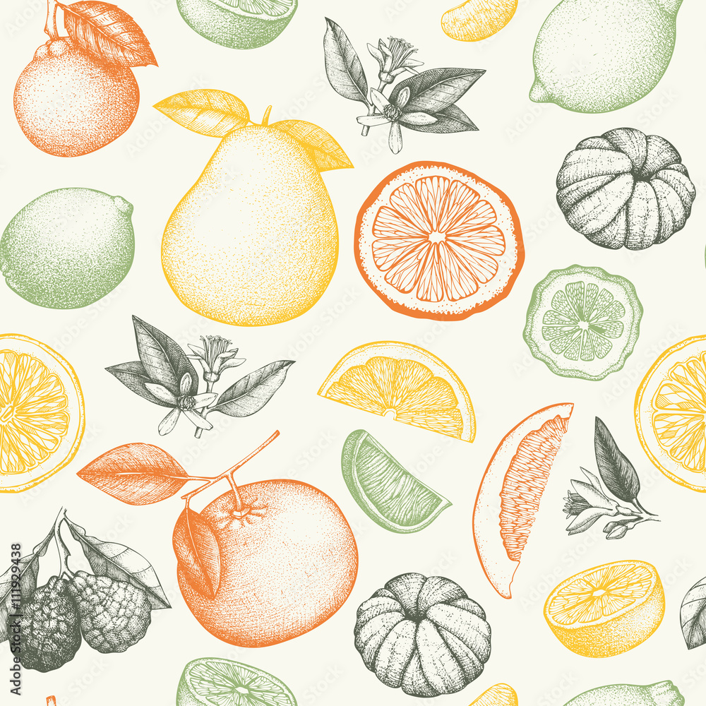 Vector seamless pattern with ink hand drawn citrus fruit, flowers, slice and leaves sketch. Vintage citrus background in pastel colors