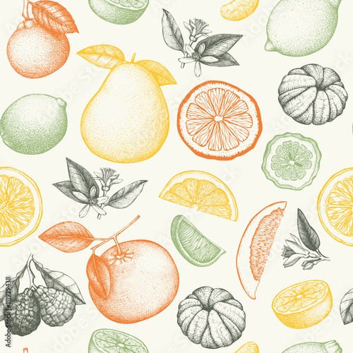 Fotografia Vector seamless pattern with ink hand drawn citrus fruit, flowers, slice and leaves sketch