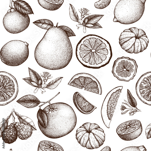 Vector seamless pattern with ink hand drawn citrus fruit, flowers, slice and leaves sketch. Vintage citrus background in pastel colors