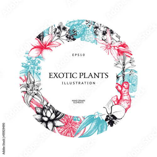 Vintage frame design with ink hand drawn exotic fruit, flowers and leaves sketch. Tropical flowers background. Vector template.