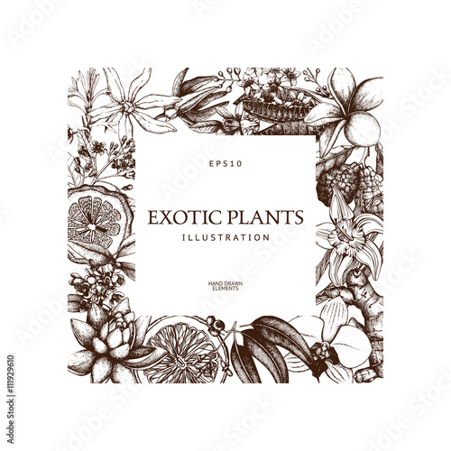 Vintage frame design with ink hand drawn exotic fruit, flowers and leaves sketch. Tropical flowers background. Vector template.