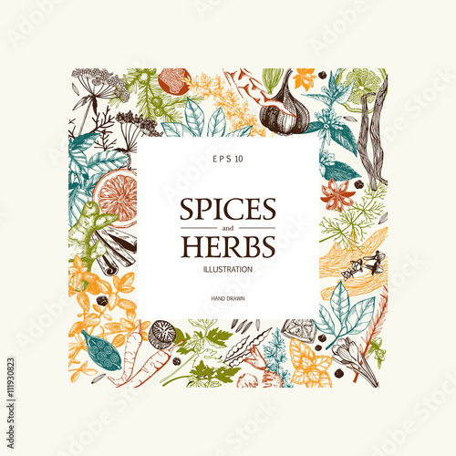 Vector card design with hand drawn spices and herbs. Decorative colorful background with vintage spice sketch.