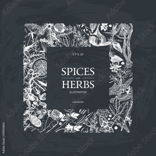 Vector card design with hand drawn spices and herbs. Decorative colorful background with vintage spice sketch.