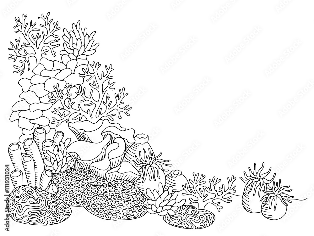 Fototapeta premium Coral sea graphic art black white underwater landscape illustration vector