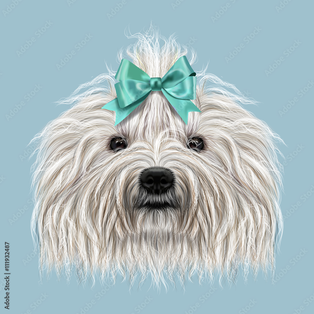 Illustrated Portrait of Puli dog.
