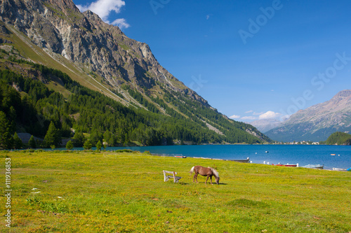Lake Sils - lake in Switzerland. © Radomir Rezny