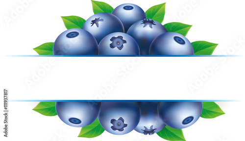 blueberry background