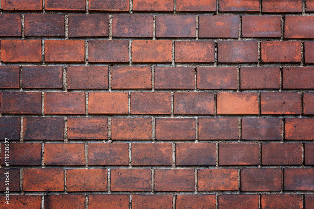 Fototapeta premium Ziegelwand