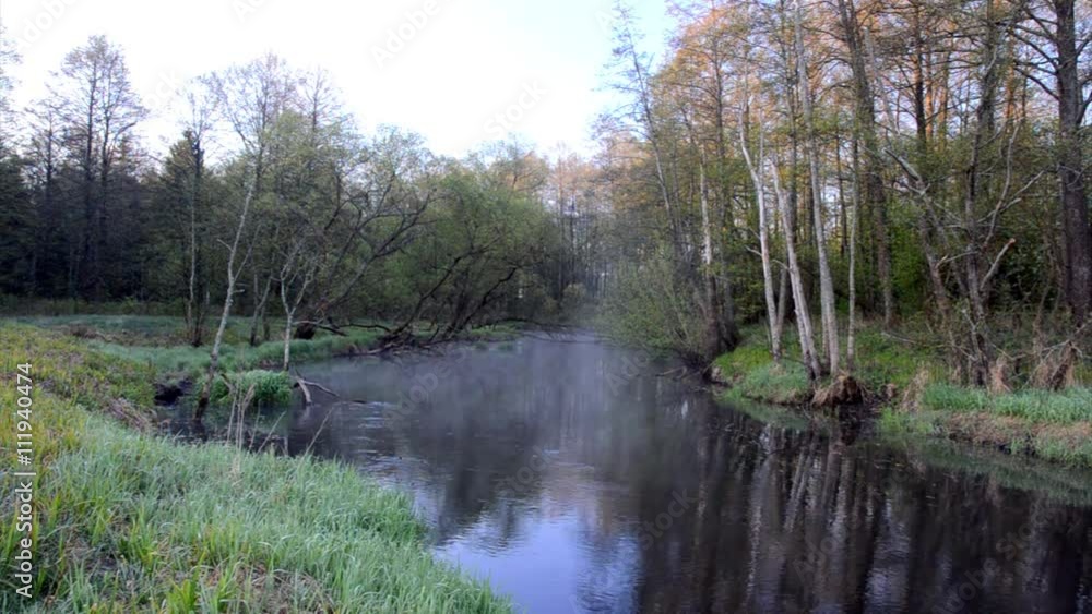 Morning on the forest river in the spring Morning on the forest river in the spring