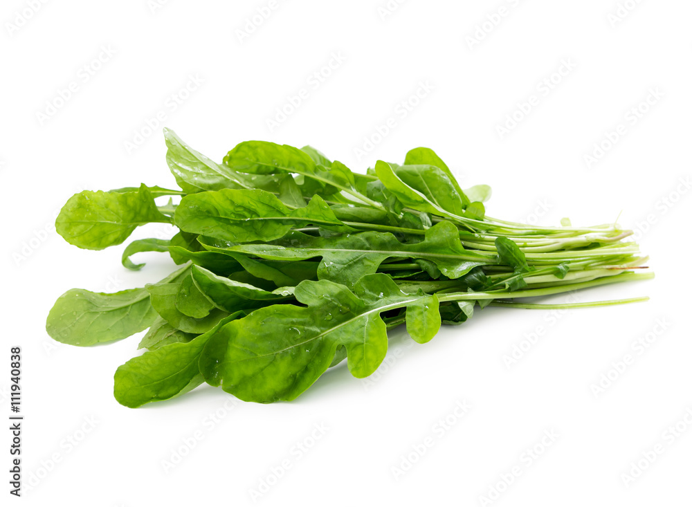 Fresh arugula leaves
