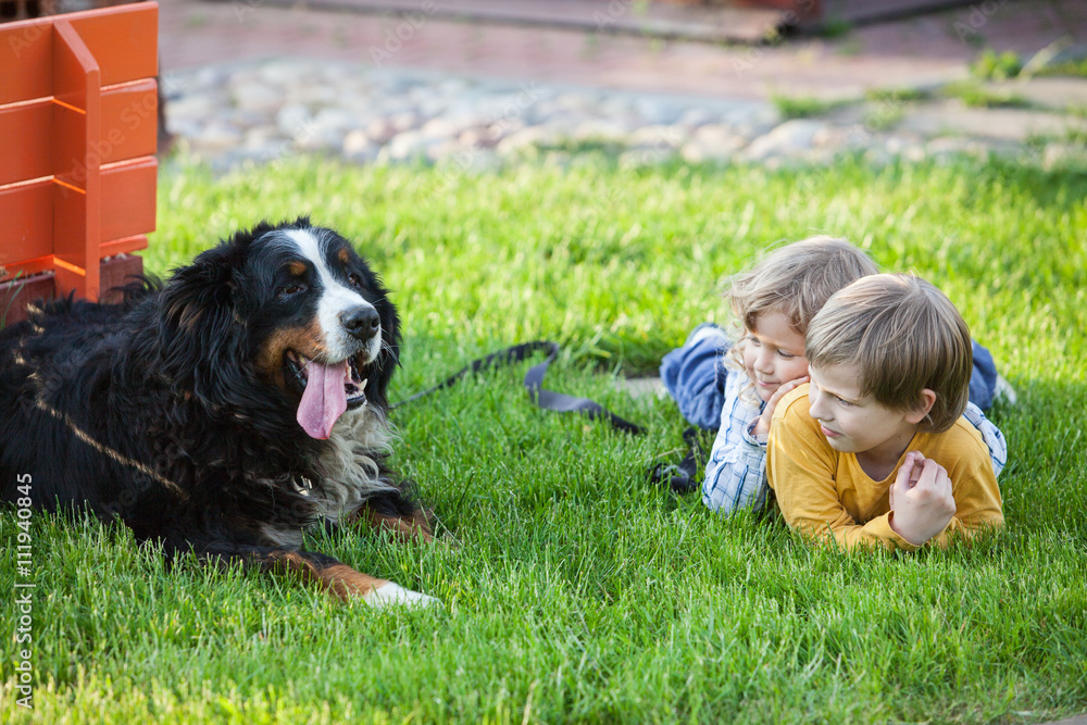 children lying on the grass with bernese mountain dog
children lying on the grass with bernese mountain dog