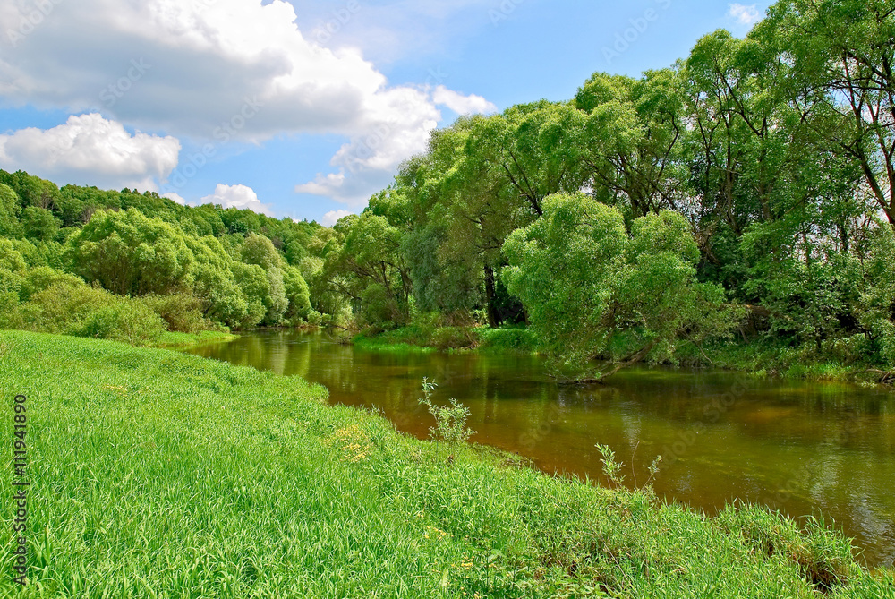 Riverside Luzha River in the Kaluga region