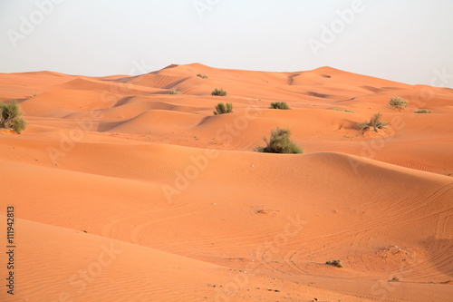 Red sand desert