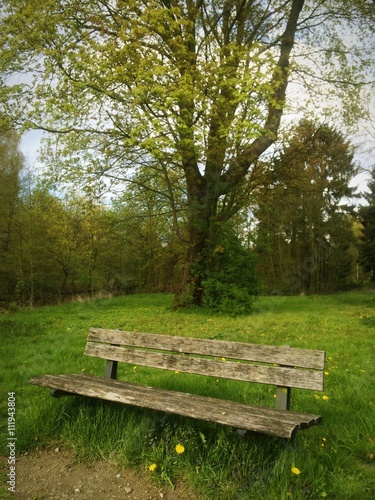 Holzbank im Wald