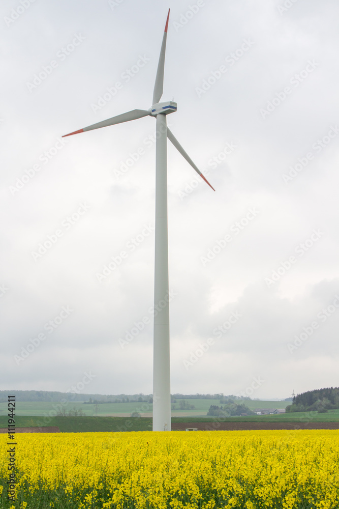 Germany, Stuttgart, Power pylon and wind wheels in yellow rape field Germany, Stuttgart, Power pylon and wind wheels in yellow rape field