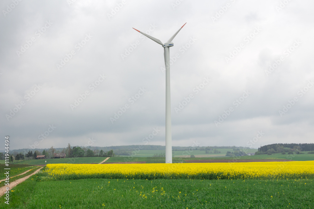 Germany, Stuttgart, Power pylon and wind wheels in yellow rape field Germany, Stuttgart, Power pylon and wind wheels in yellow rape field