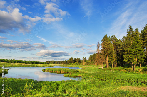 Beautiful summer landscape