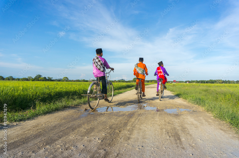 three boy cycling in paddy field