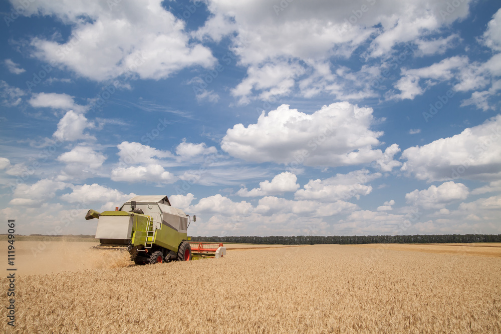 Obraz premium combine harvester on a wheat field with a cloudy sky
