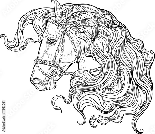 Portrait of a horse with long decorated mane.