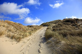 Danimarca del sud.Mare, dune di sabbia.