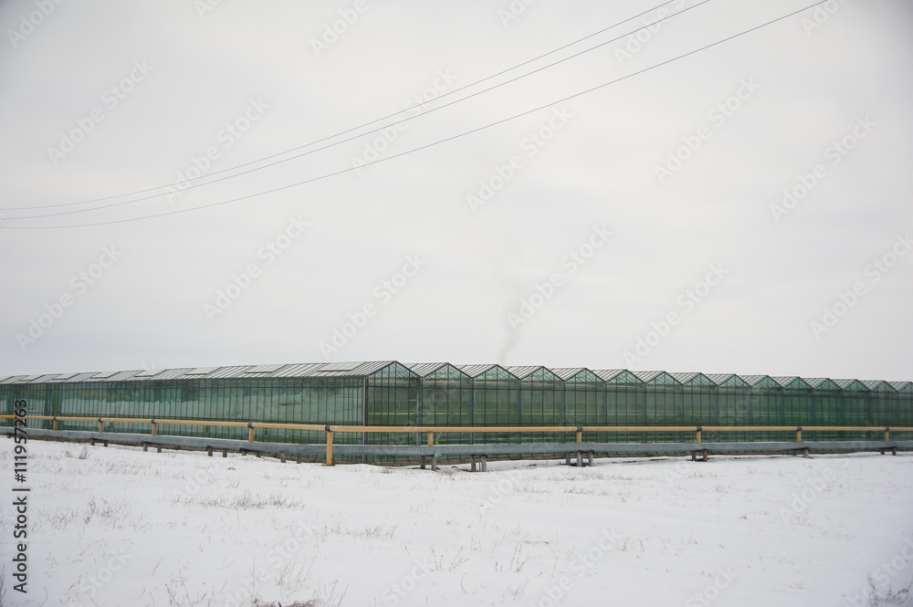 Greenhouses outdoors