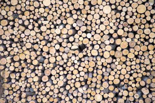 Texture of wood logs