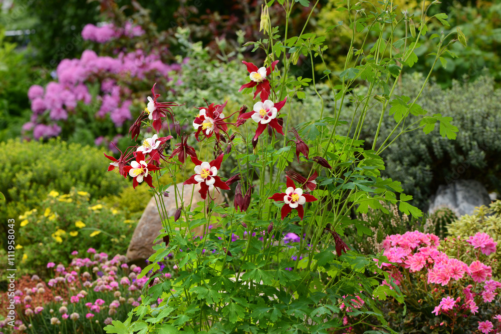Naklejka premium Garten 594