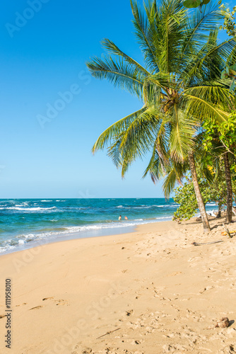 Fototapeta Naklejka Na Ścianę i Meble -  Punta Uva beach in Costa Rica, wild and beautiful caribbean coast