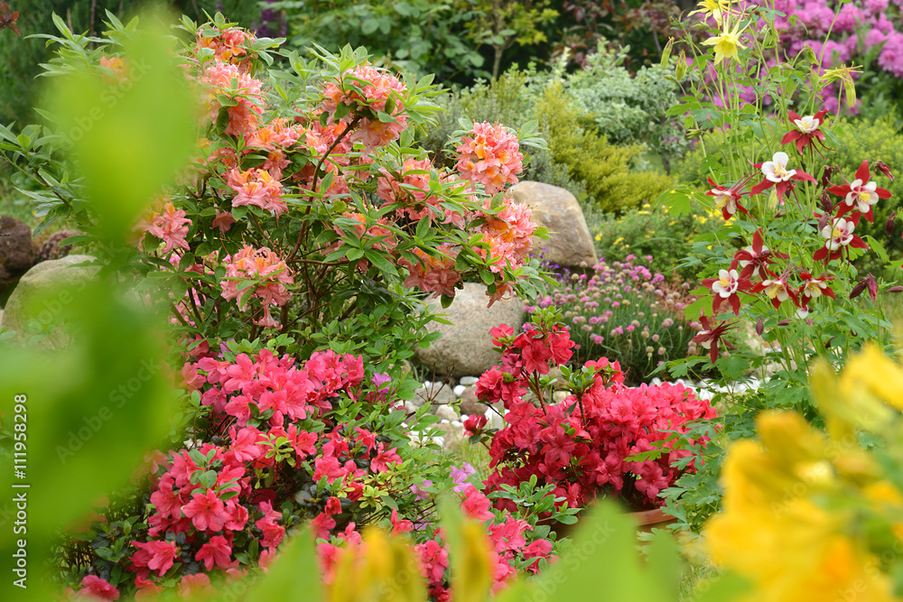Fototapeta premium Garten 598