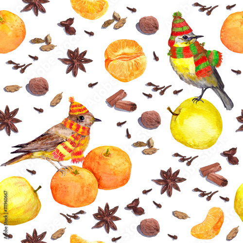 Watercolor winter spices and fruits - apple, mandarin with bird