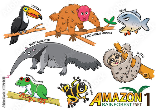 Set of Cute cartoon Animals and birds in the Amazon areas of Sou