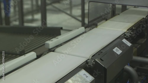 Sorting escalope boxes on a conveyor belt. photo