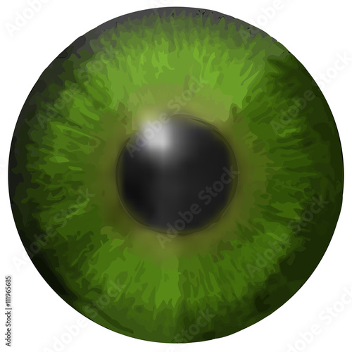 Eye iris vector texture