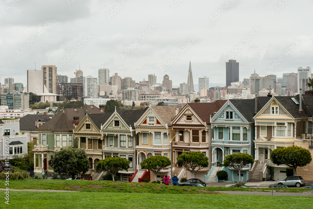 Painted ladies