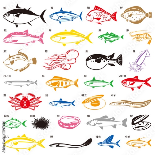 魚いろいろ