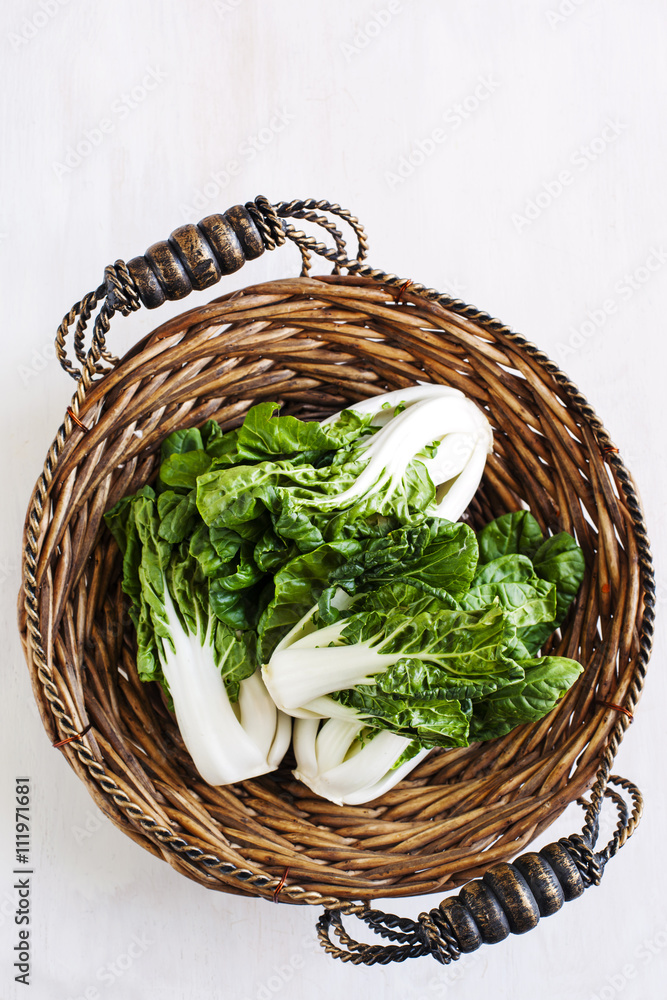 Obraz premium Bok choy