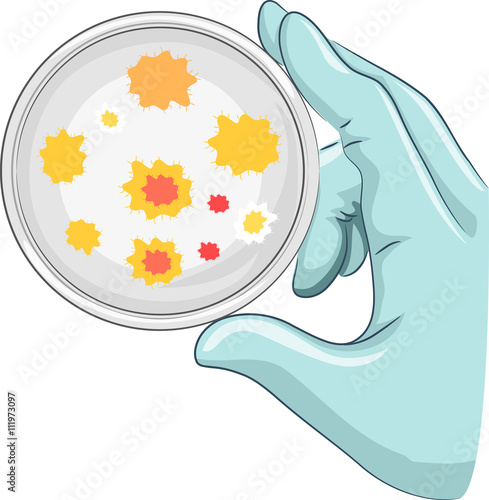 Hand Glove Petri Dish Bacteria