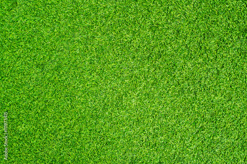 artificial grass photo