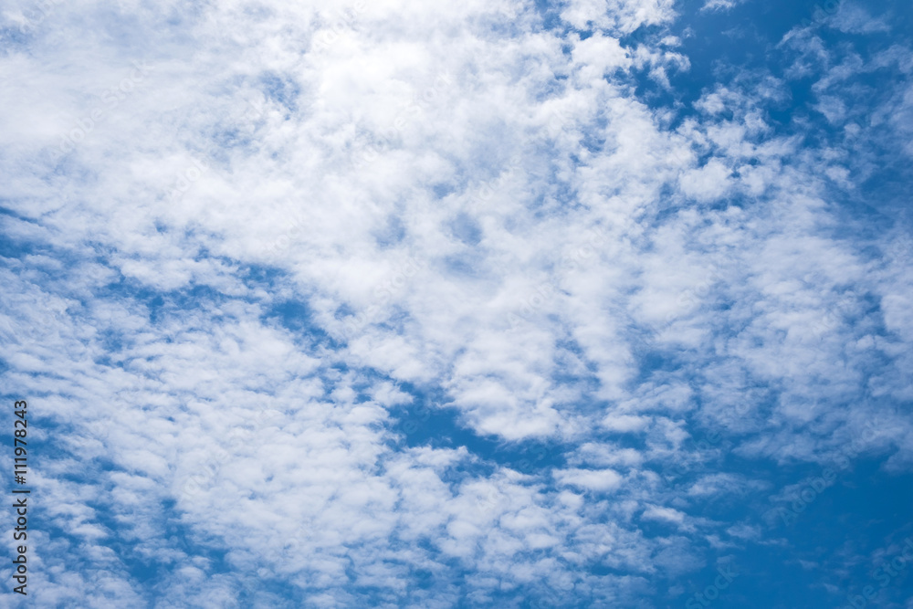Fototapeta premium blue sky with clouds closeup