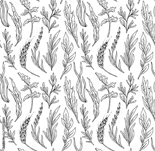 Vector seamless pattern with hand drawn herbs