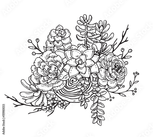 Hand drawn composition of succulent plants.