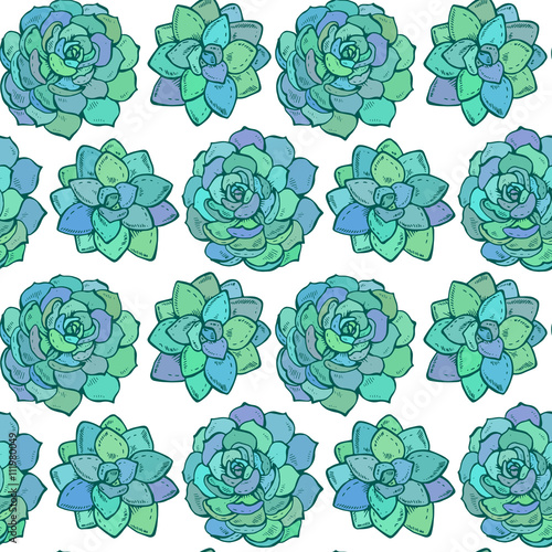 Vector seamless pattern with hand drawn color succulent plants.