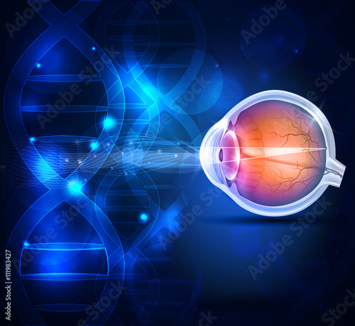 Anatomy of the healthy eye abstract scientific background