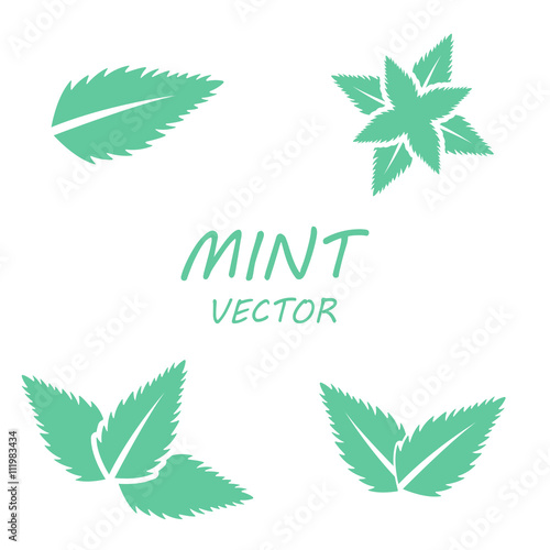 Vector flat mint icons set